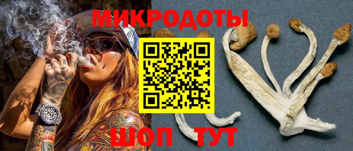Галлюциногенные грибы GOLDEN TEACHER Ленинск-Кузнецкий