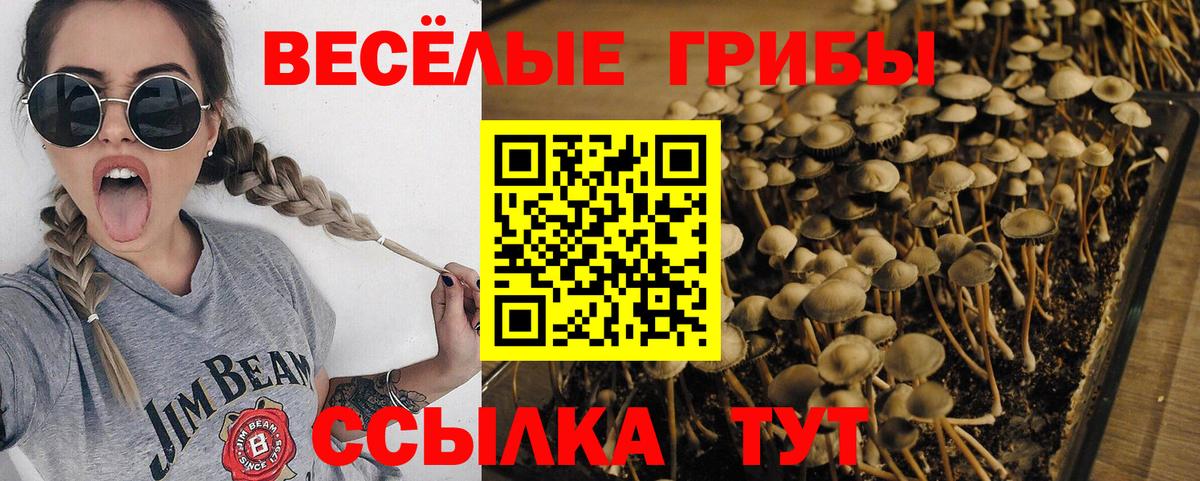 Ленинск-Кузнецкий  Галлюциногенные грибы мухоморы  Вход с VPN  Псилоцибиновые грибы Psilocybine cubensis 